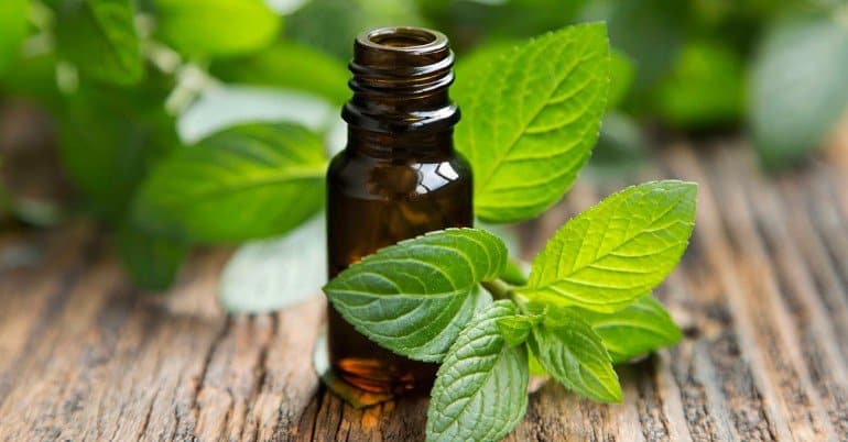 Peppermint essential oil