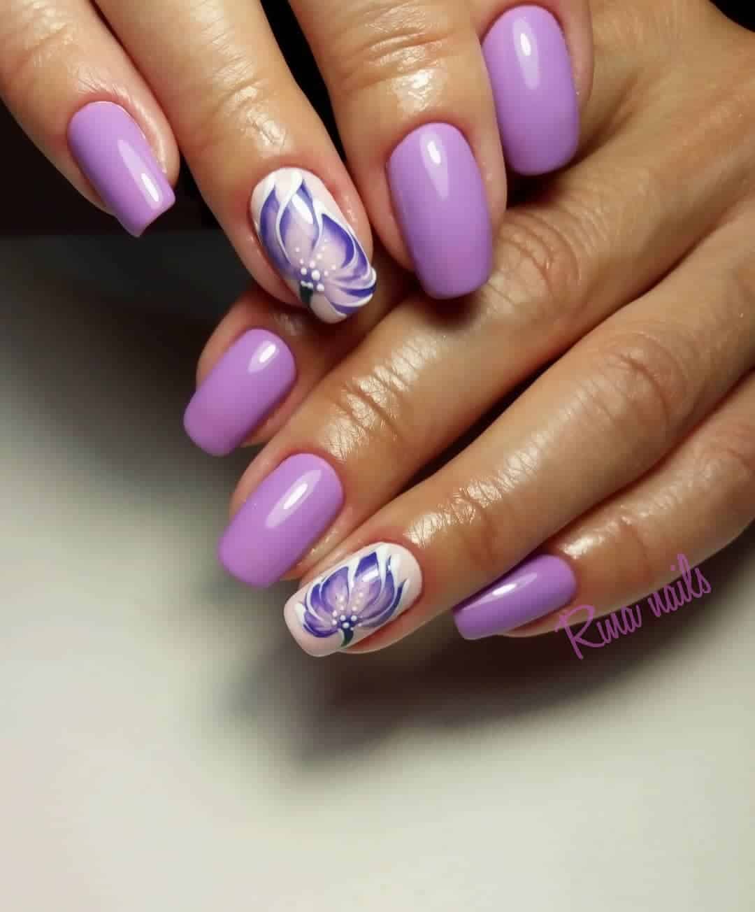 violet flowers