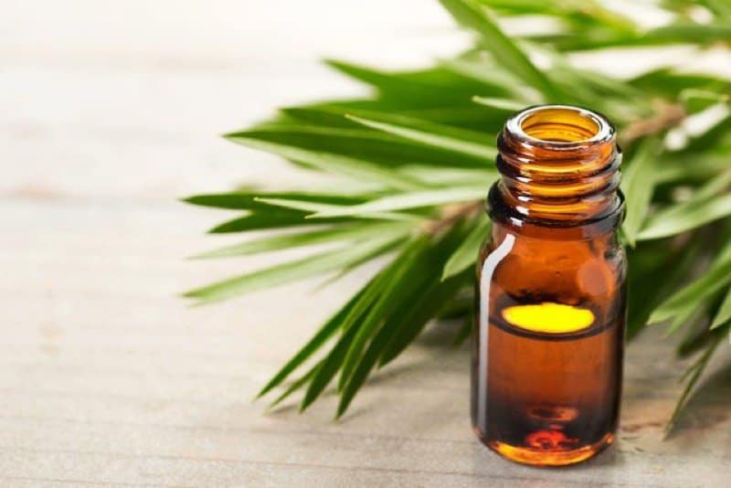 Tea Tree Oil for Acne