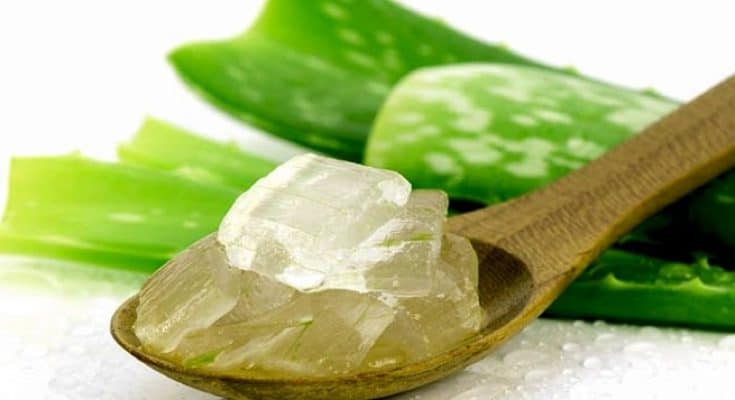 Aloe Vera For Acne How The Miracle Plant Helps With Pimples 0904