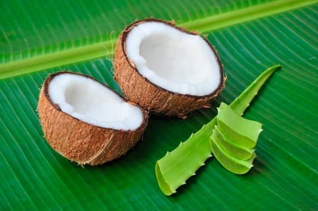 Coconut milk and aloe vera