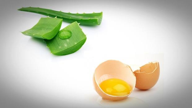 Egg yolk and aloe vera