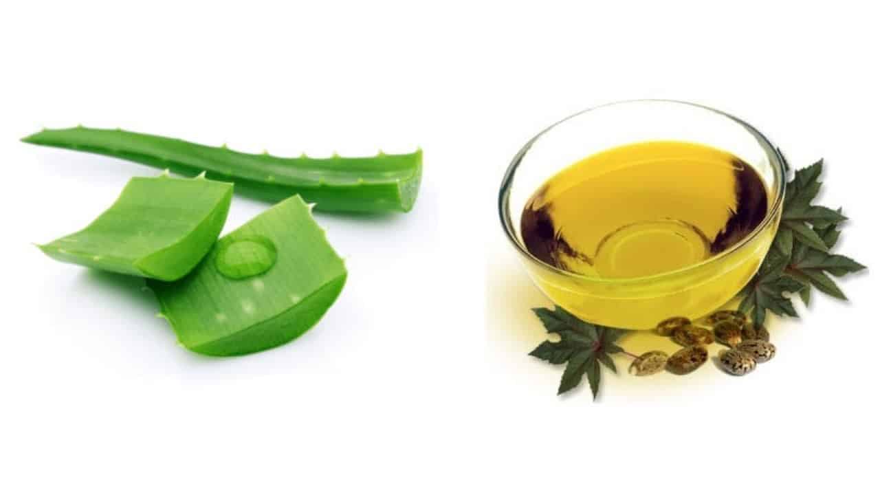 Aloe vera, castor oil, and yogurt