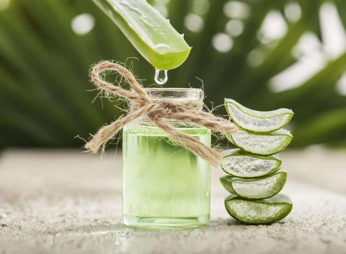 Top 9 Aloe Vera Hair Masks For Hair Growth 6819