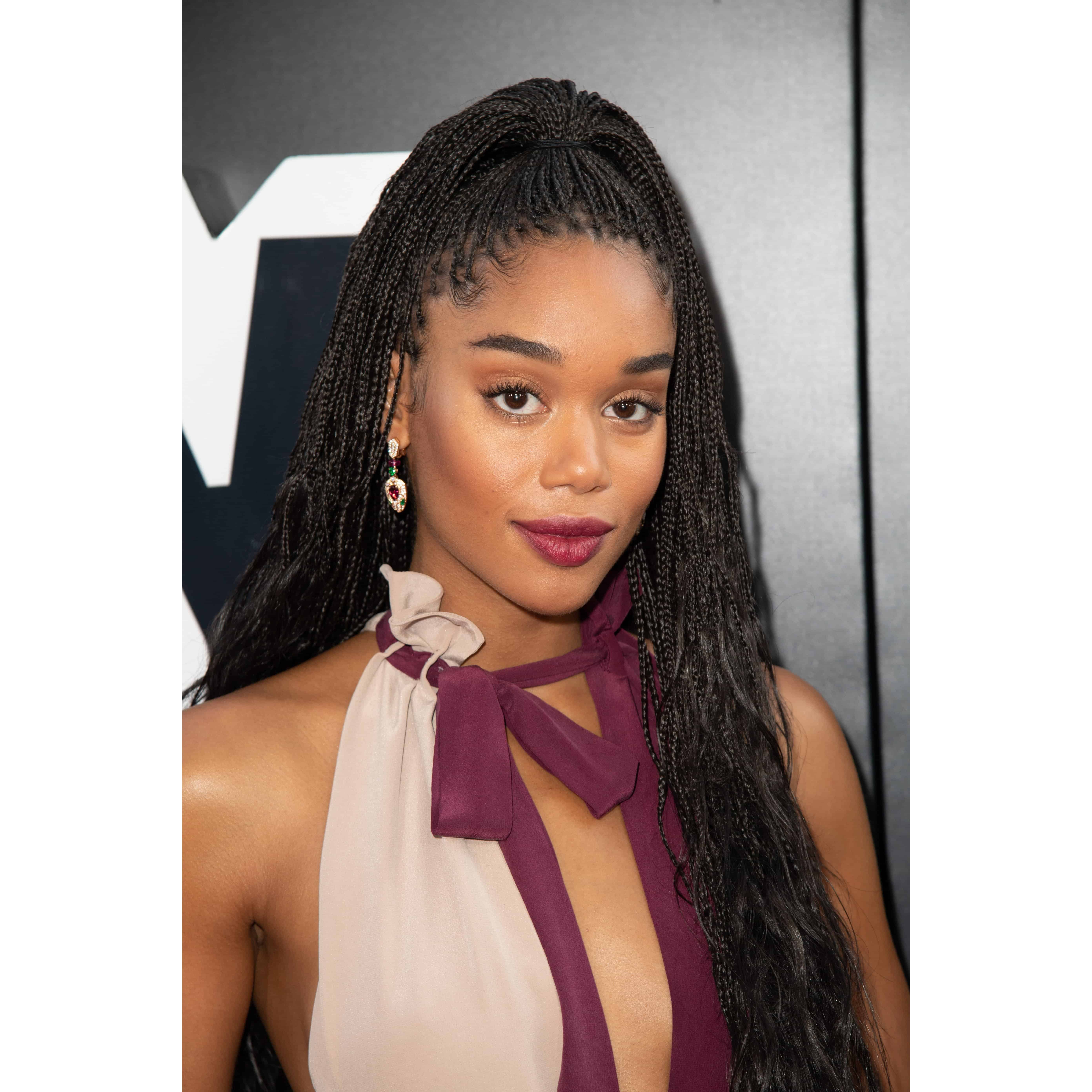 30 Black Braided Hairstyles You Can Try For a Fancy ...