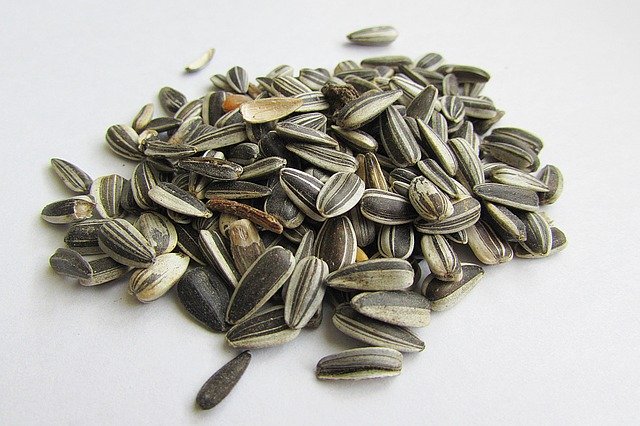 Sunflower seeds