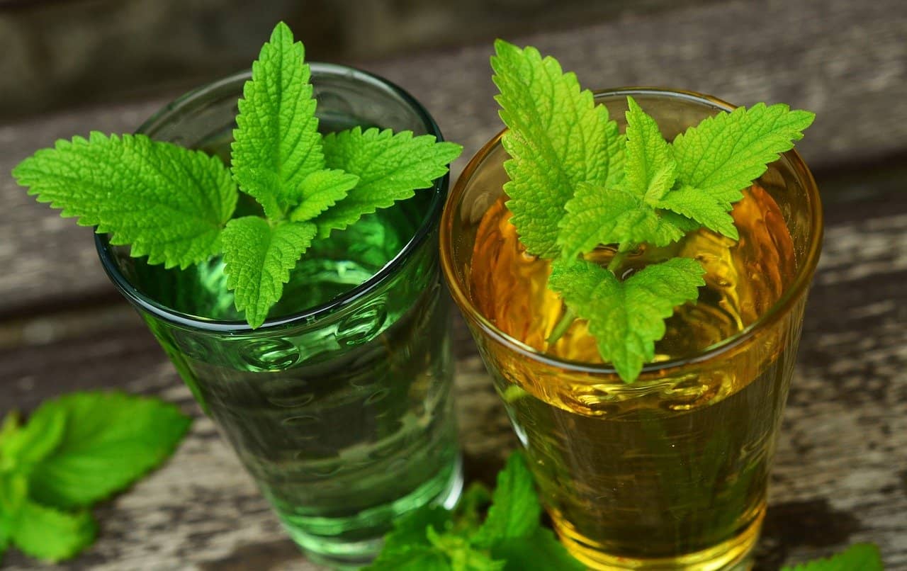 Lemon balm leaf tea