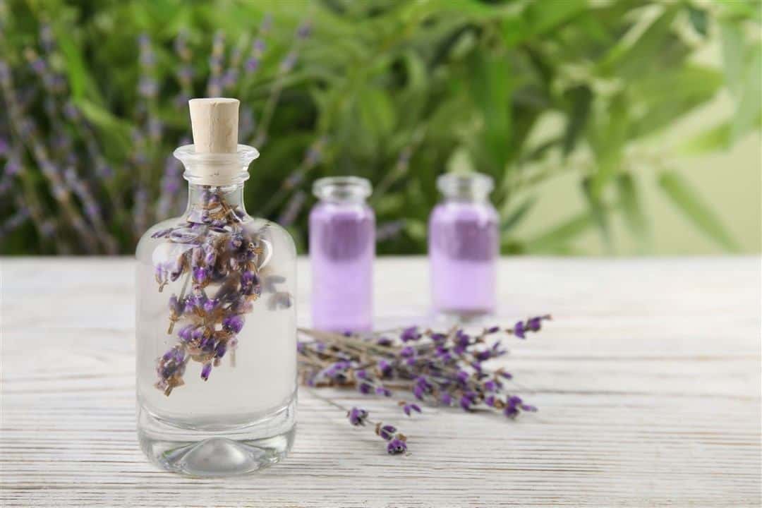 lavender oil